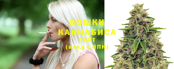 гашик Богородск