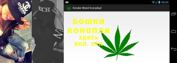 трава Бородино
