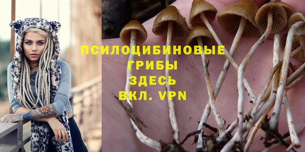 тгк Богданович