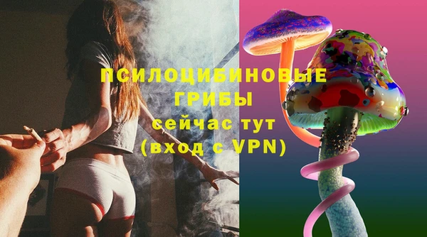 винт Богородицк