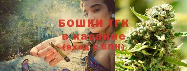 тгк Богданович
