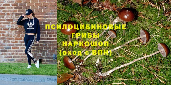 гашик Богородск