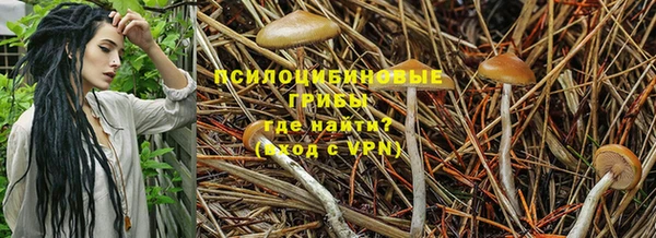 наркотики Бронницы