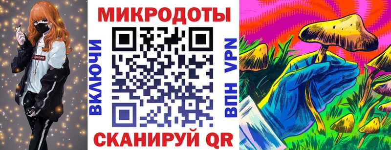 Галлюциногенные грибы Psilocybe  Юрюзань 